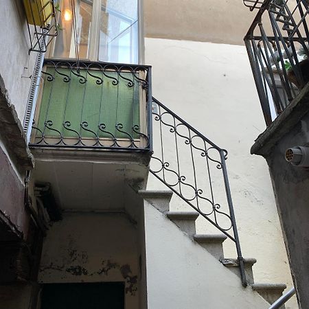 Eagle'S Nest Venice Guest House 외부 사진